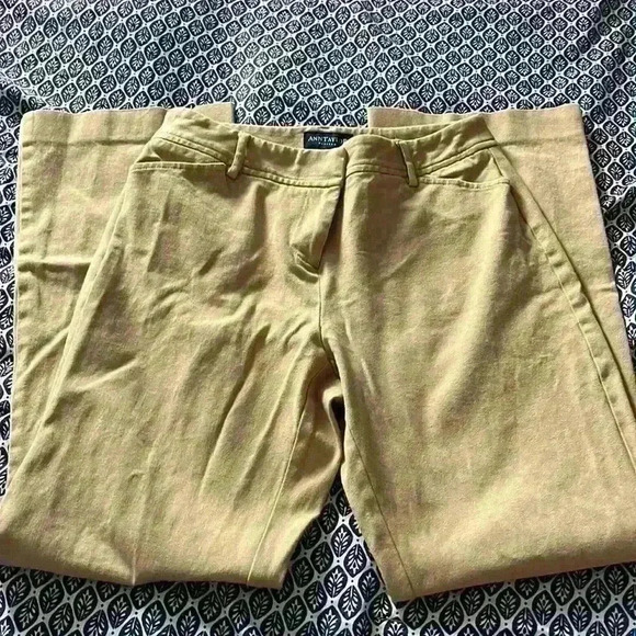 Ann Taylor - Picture 4 of 5